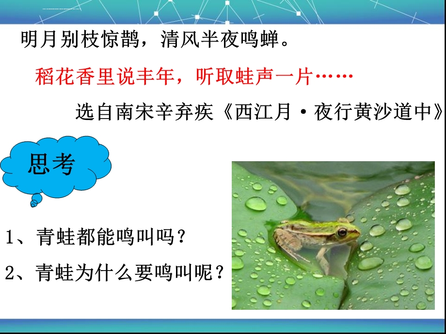 观察青蛙的变态发育过程ppt课件.ppt_第2页