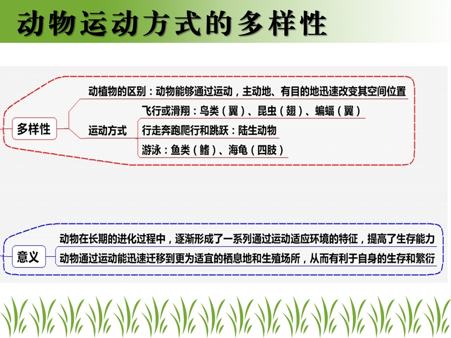 苏教版生物八年级上第十七章动物的运动复习提纲ppt课件.pptx_第2页