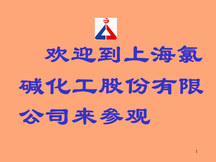 聚氯乙烯认识介绍ppt课件.ppt_第1页