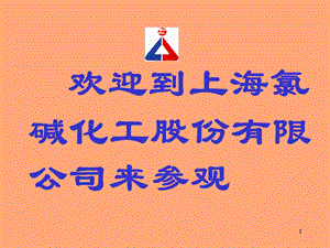 聚氯乙烯认识介绍ppt课件.ppt