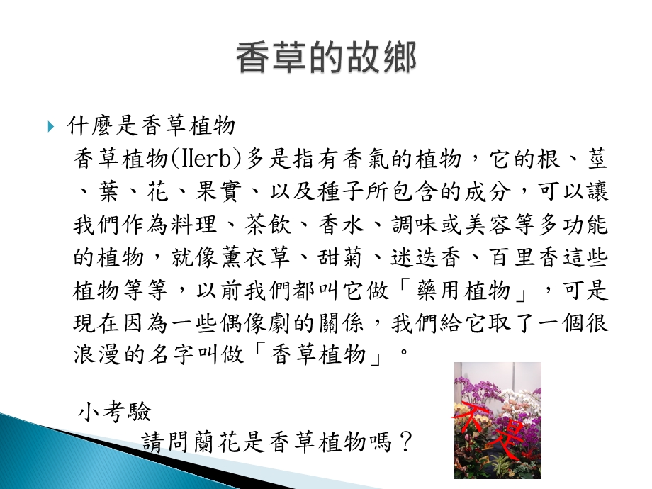 认识香草植物ppt课件.ppt_第3页