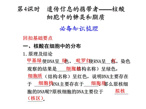 第4课时遗传信息的携带者——核酸细胞中的糖类和脂质ppt课件.ppt