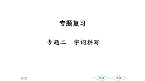 部编版八年级下册语文字词拼写专项训练ppt课件.ppt