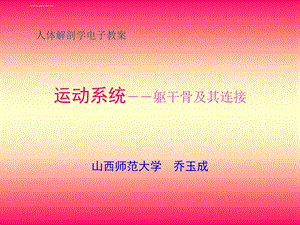 运动系统躯干骨及其连接ppt课件.ppt