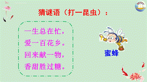 部编三下14 蜜蜂ppt课件.ppt