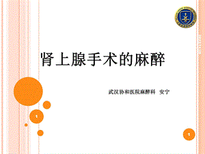 肾上腺手术的麻醉ppt课件.ppt