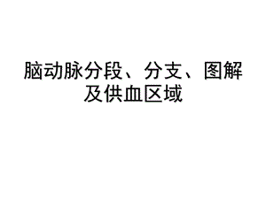 脑动脉分段、分支、图解及供血区域ppt课件.ppt