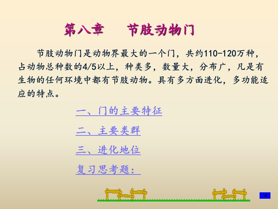 节肢动物门ppt课件.ppt_第3页