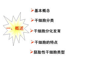 胚胎干细胞ppt课件.ppt