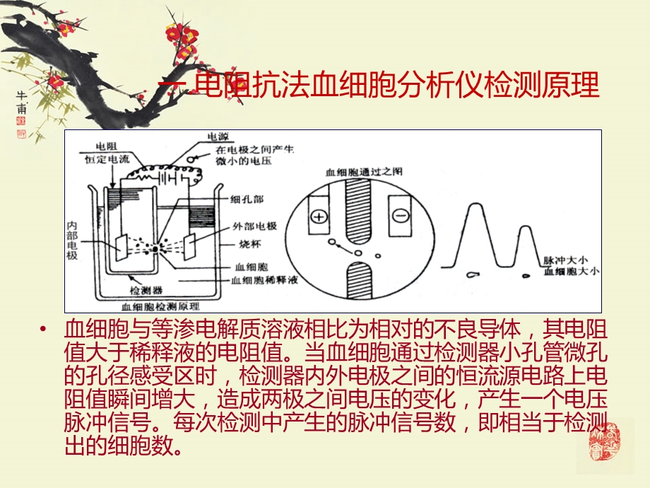 血常规直方图ppt课件.ppt_第2页