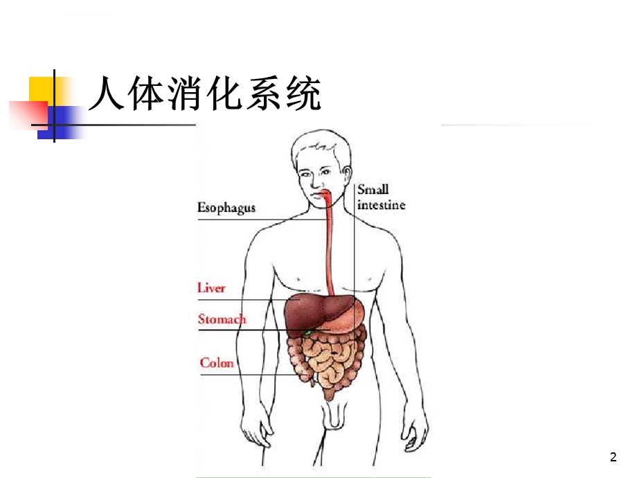 药物化学第五章 消化系统药物ppt课件.ppt_第2页