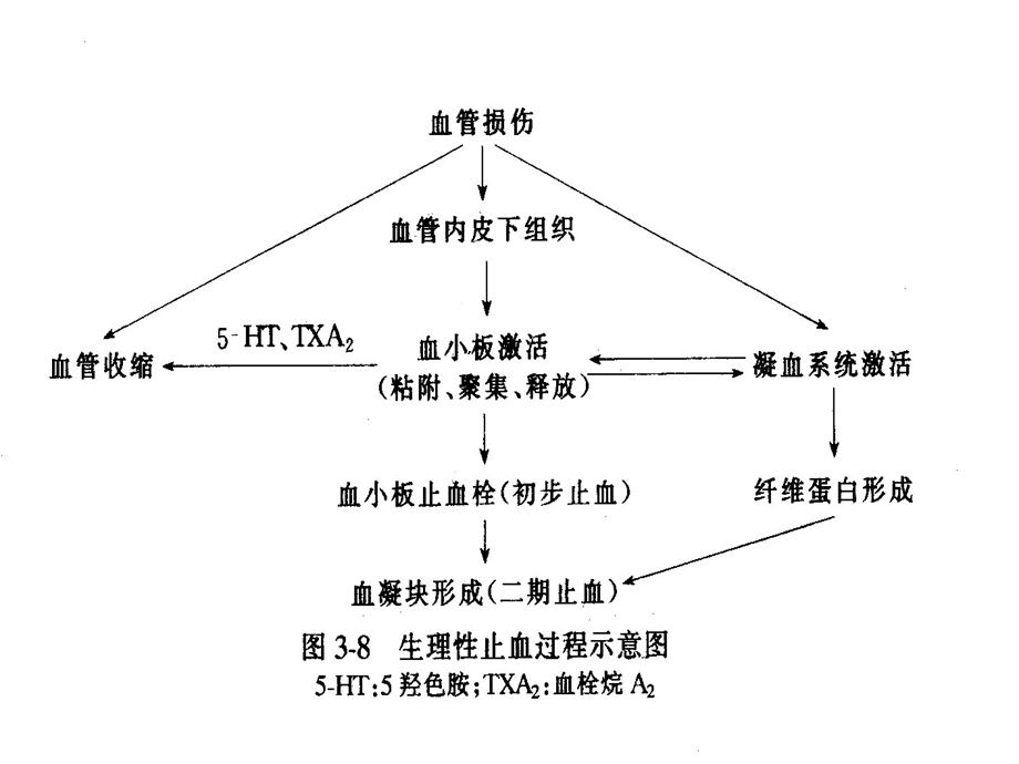 第三节血液凝固与纤维蛋白溶解ppt课件.ppt_第3页