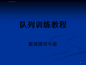 队列训练教程ppt参考幻灯片课件.ppt