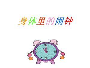 身体里的闹钟ppt课件.ppt