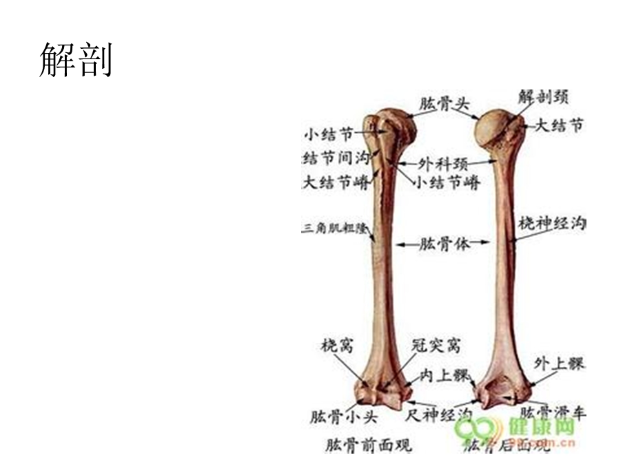 肱骨近端骨折内固定技术.详解ppt课件.ppt_第3页