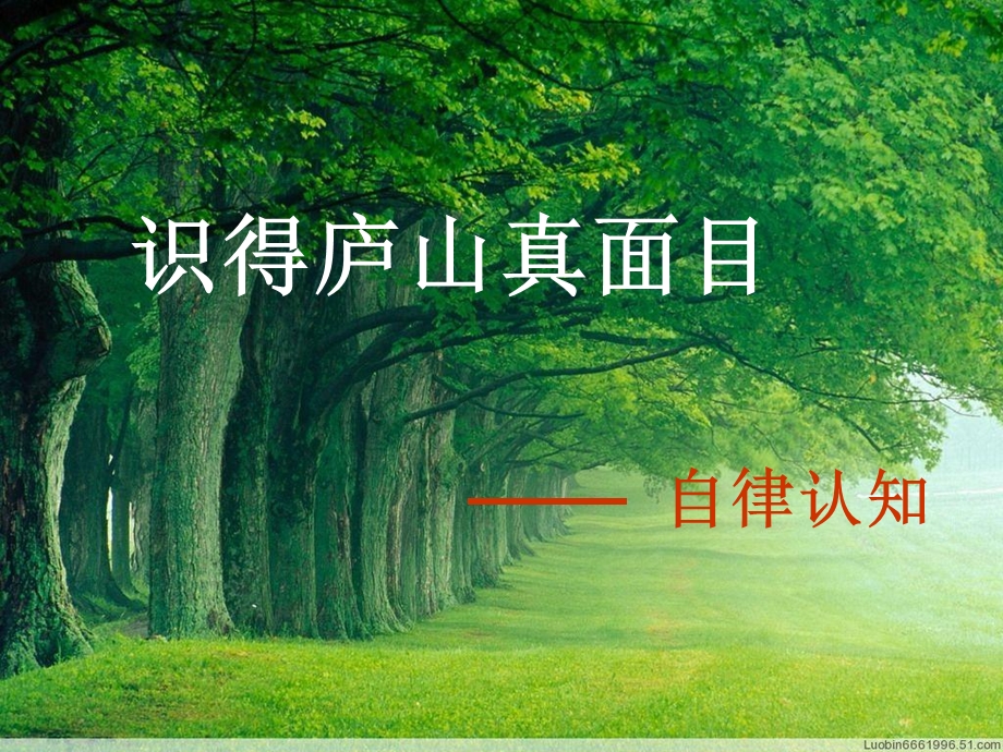 自律成长 主题班会ppt课件.ppt_第3页