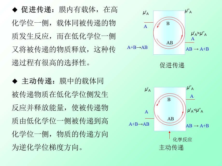 膜的定义和分类ppt课件.ppt_第3页