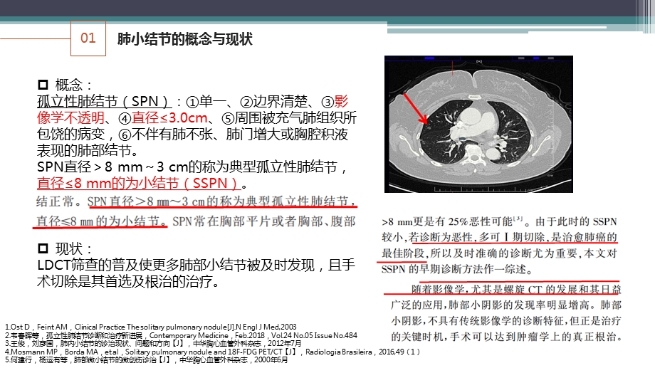 肺小结节定位和肺段切除规划沈阳ppt课件.ppt_第3页