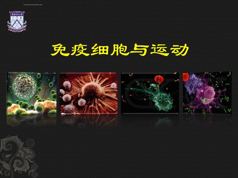 运动与免疫细胞简介ppt课件.ppt_第1页