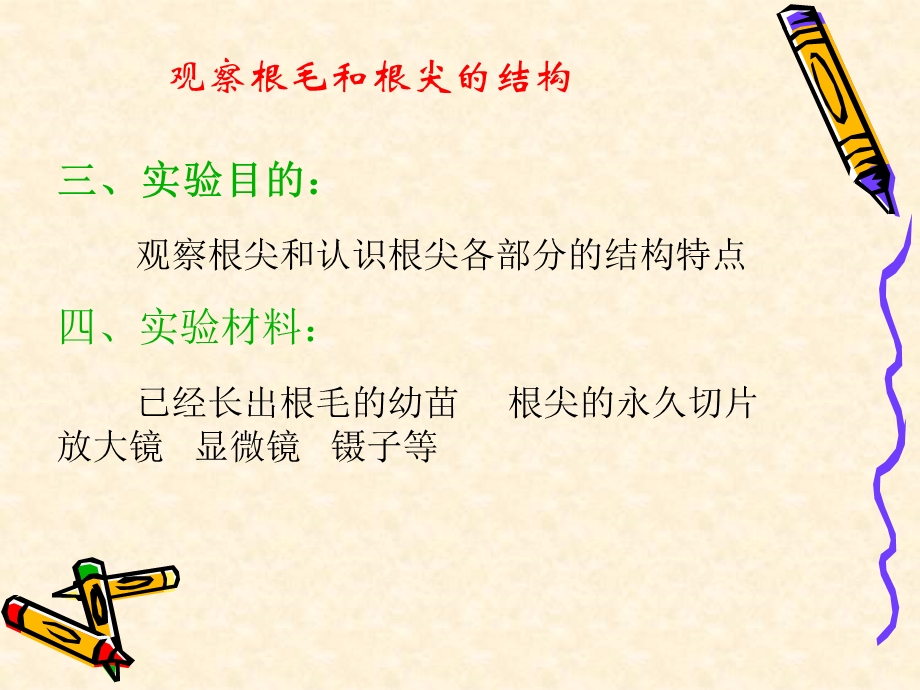 观察根毛和根尖的结构ppt课件.ppt_第3页