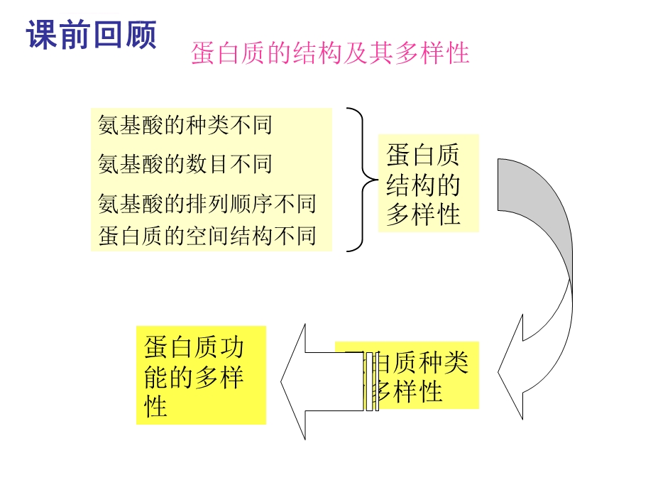 蛋白质的功能ppt课件.ppt_第2页