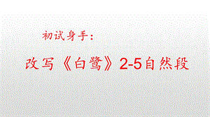 部编版五上初试身手改写《白鹭》成说明文ppt课件.pptx