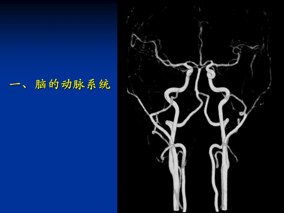 脑血管解剖ppt课件.ppt_第2页