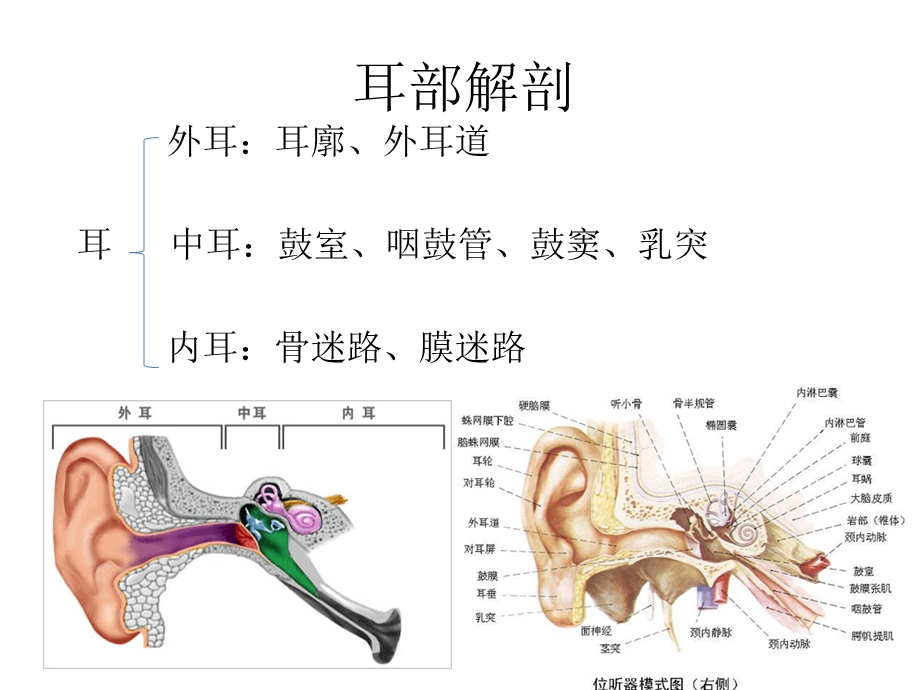 耳鼻喉科一般检查ppt课件.pptx_第3页