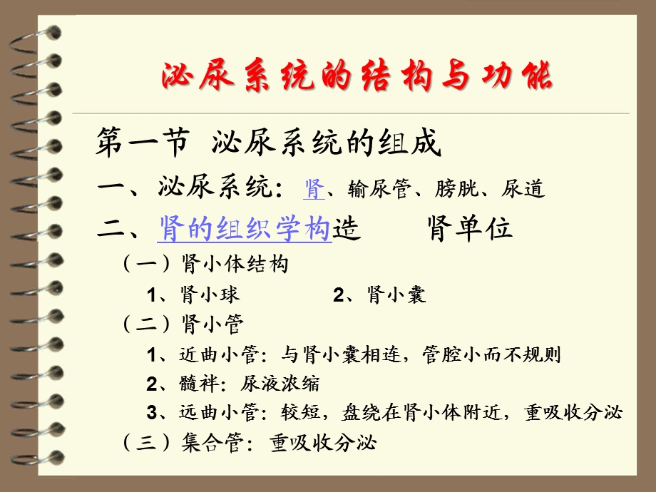 解剖生理学：泌尿系统的结构与功能ppt课件.ppt_第1页