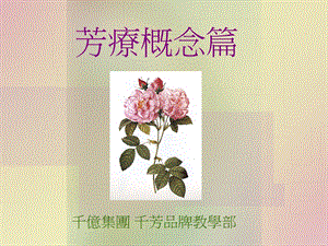 芳疗概念篇ppt课件.ppt