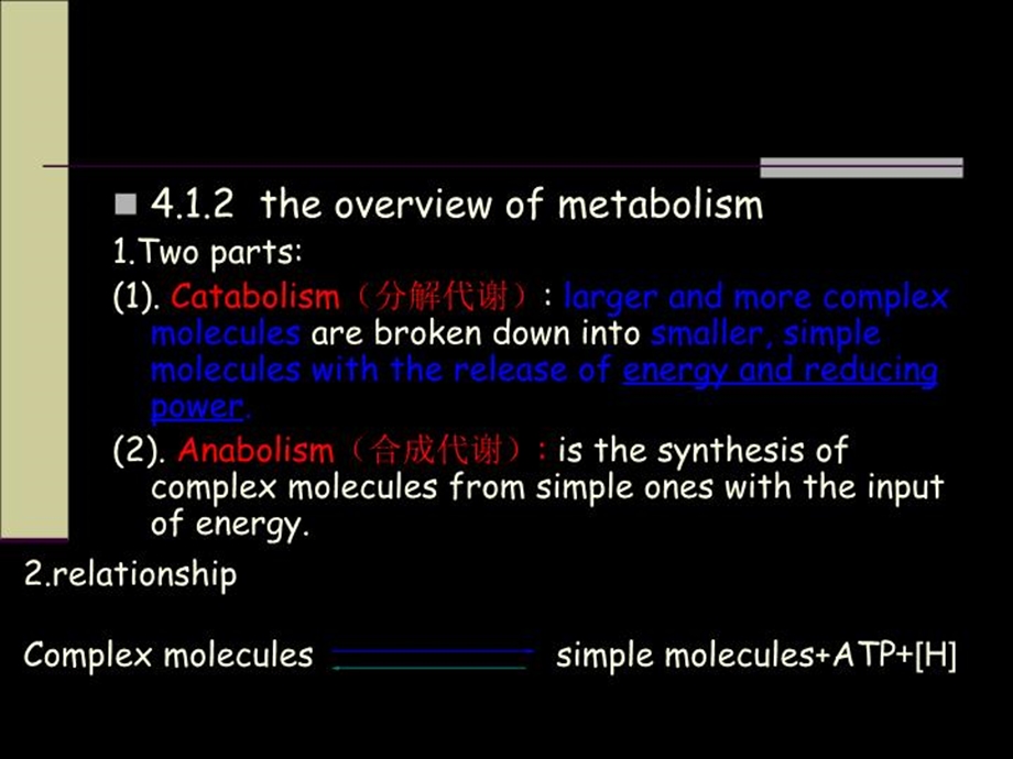 第四章微生物新陈代谢ppt课件.ppt_第3页