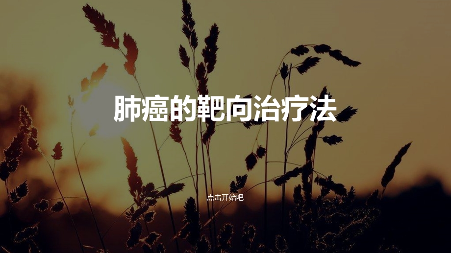 肺癌的靶向治疗法ppt课件.ppt_第1页