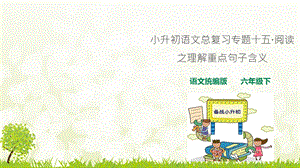 部编版小升初六年级下册语文总复习专题十五·阅读之理解重点句子含义ppt课件.ppt