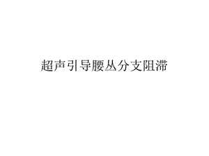 腰丛神经阻滞ppt课件.ppt