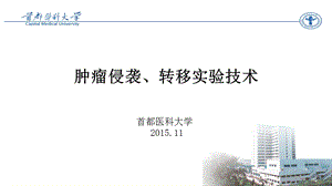 肿瘤侵袭转移实验技术ppt课件.ppt