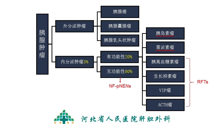 胰腺神经内分泌肿瘤ppt课件.pptx_第3页