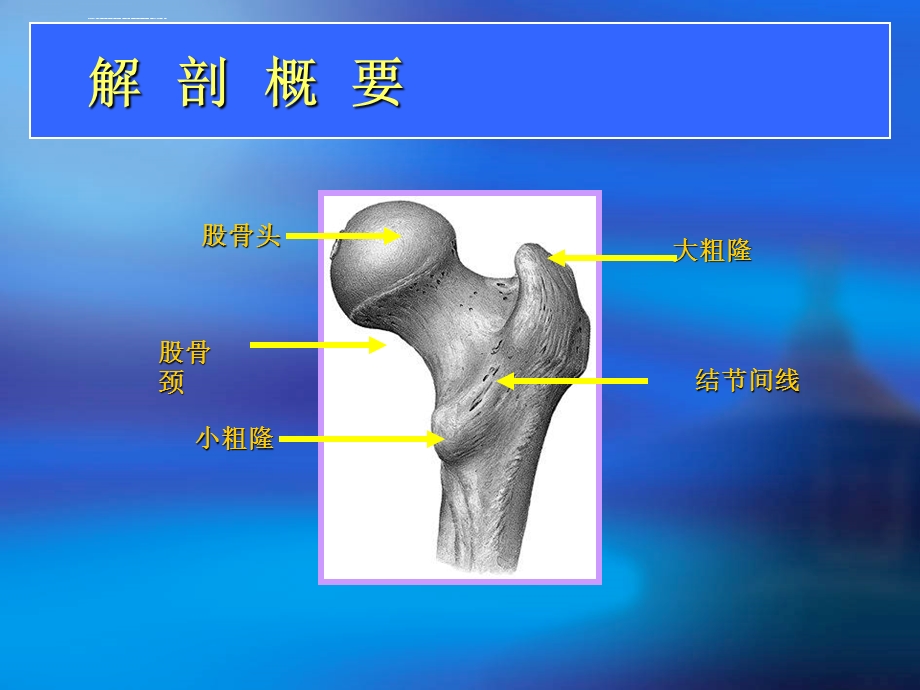 股骨颈骨折护理电子教案ppt课件.ppt_第2页