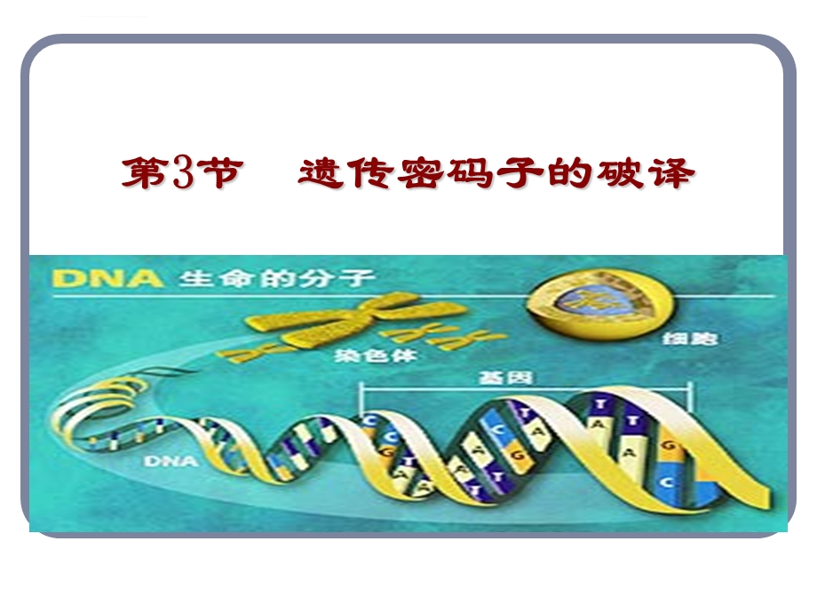 遗传密码的破译ppt课件.ppt_第1页