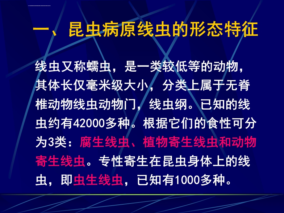 第四节昆虫病原线虫ppt课件.ppt_第3页