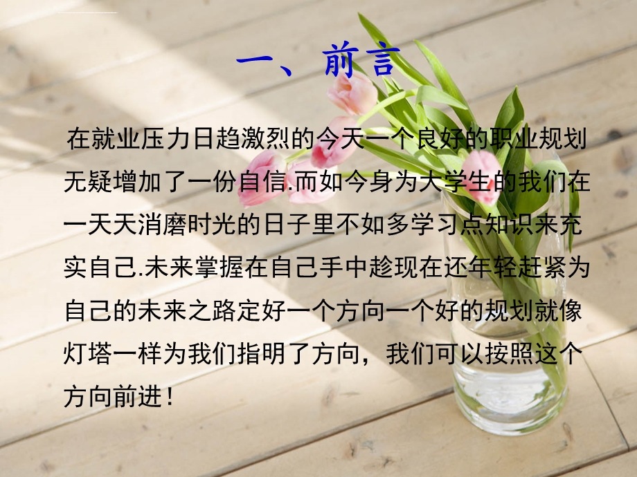 计算机专业职业生涯规划ppt模板课件.ppt_第3页