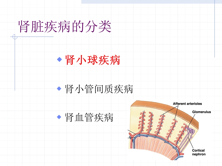 肾病的分类ppt课件.ppt_第2页