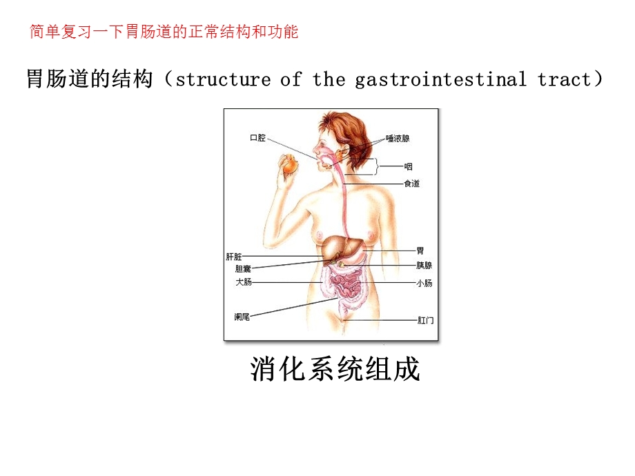 胃肠道功能障碍ppt课件.ppt_第2页