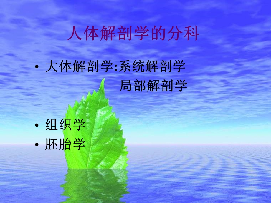 血管解剖概述ppt课件.ppt_第2页