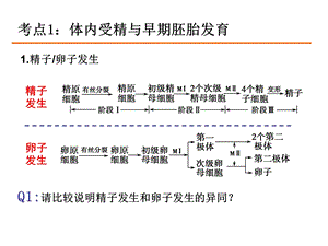 胚胎工程高三一轮复习公开课ppt课件.ppt