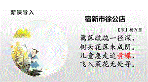 部编版四年级上8.蝴蝶的家ppt课件.pptx