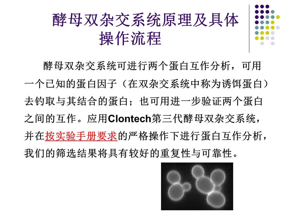 酵母双杂交原理与实验具体流程ppt课件.ppt_第1页