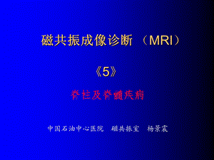 脊柱与脊髓疾病的MR诊断教学提纲ppt课件.ppt