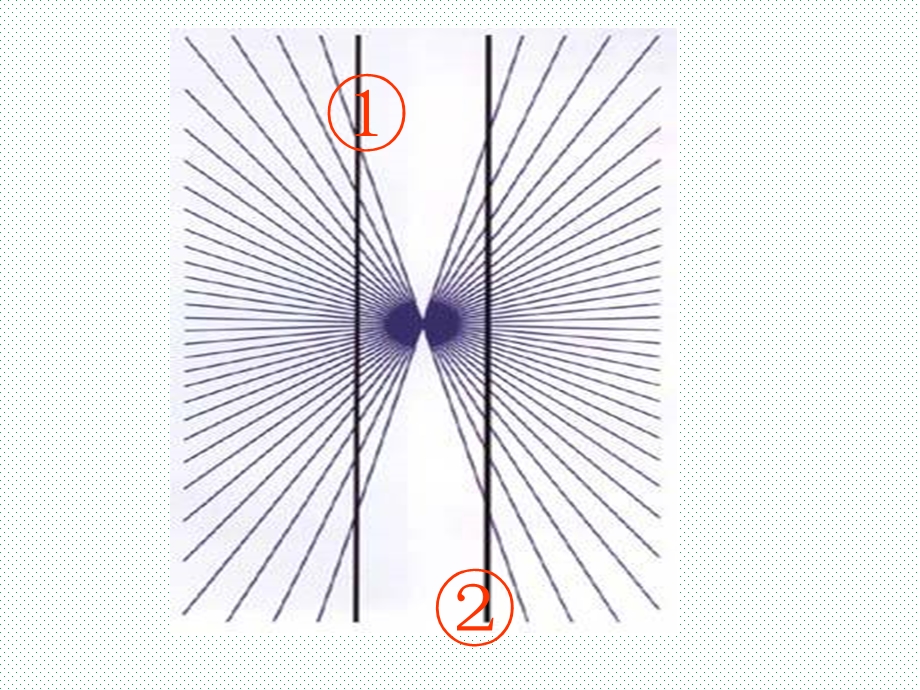 苏教版三年级下科学第五单元2《测量》ppt课件.pptx_第3页