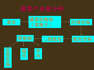 蔬菜的产业链ppt课件.ppt