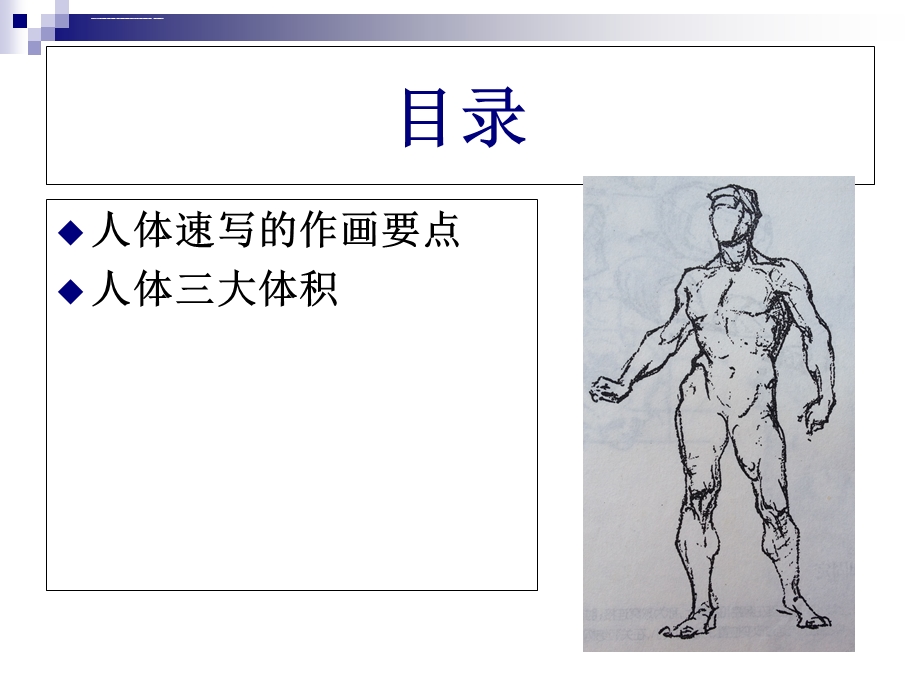 速写—人体结构ppt课件.ppt_第2页